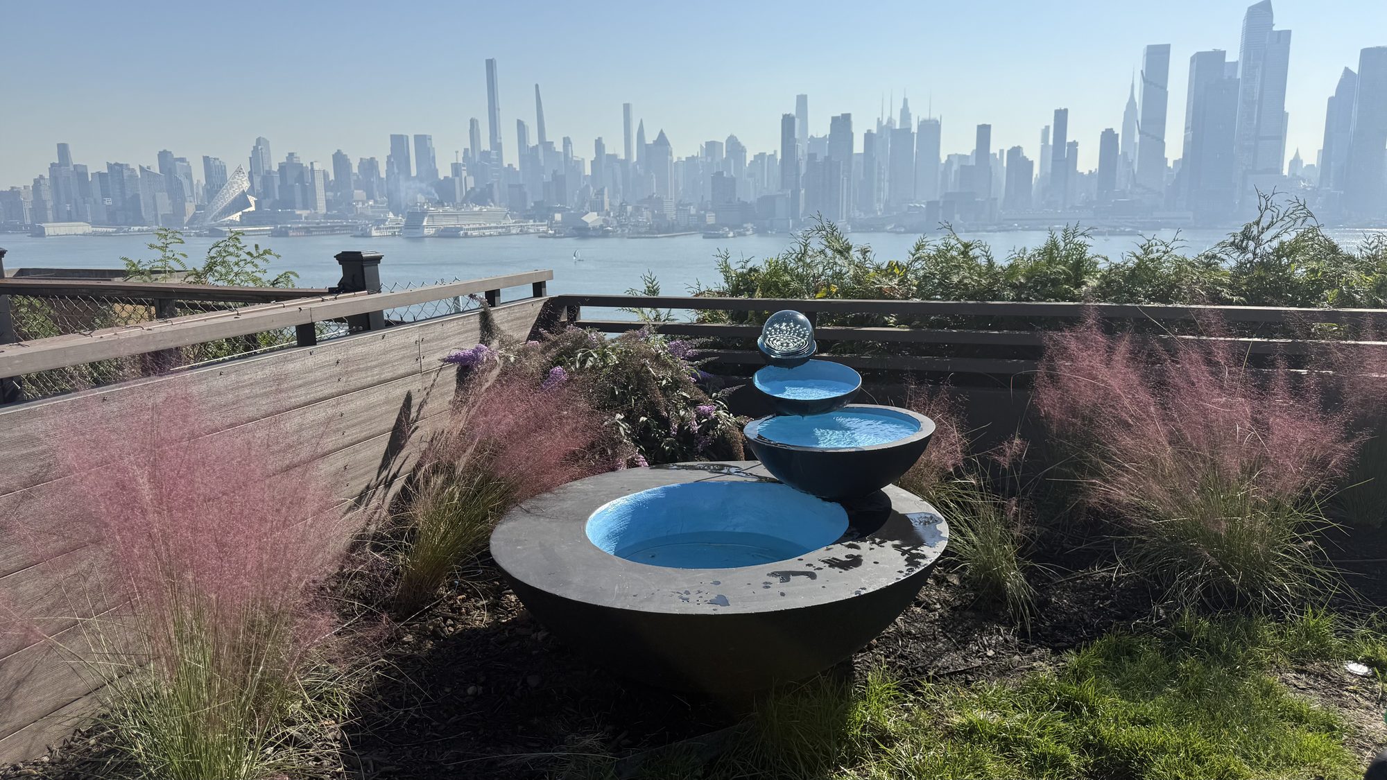 Rooftop garden with ornamental grasses and skyline